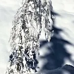 아파트 Haus Ladner *