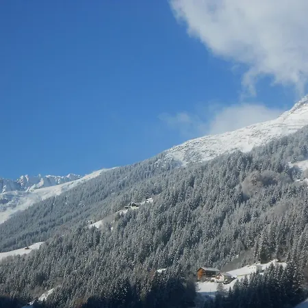 Apartment Haus Ladner *