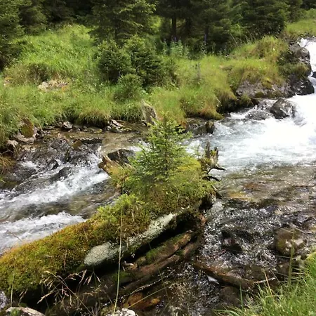 Haus Ladner Apartment