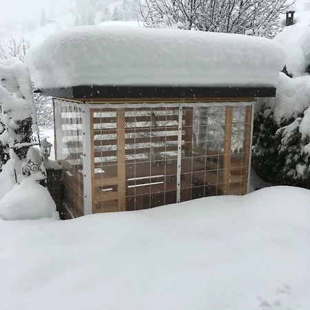 Haus Ladner Apartment See