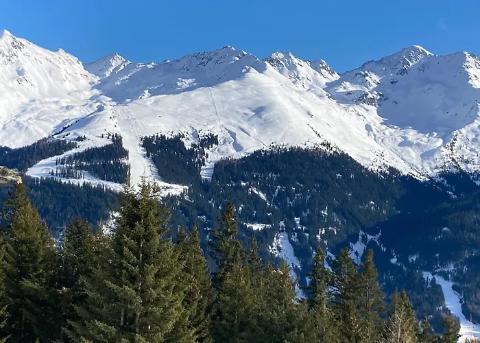 Haus Ladner 公寓 *