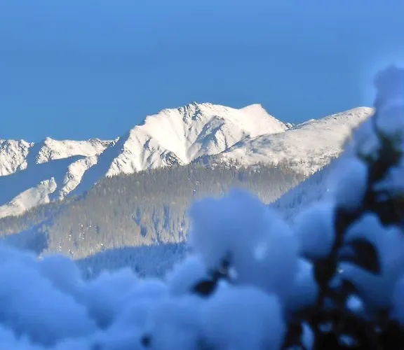 Apartment Haus Ladner