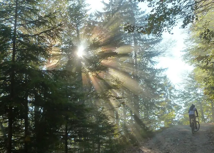 Haus Ladner Appartamento See