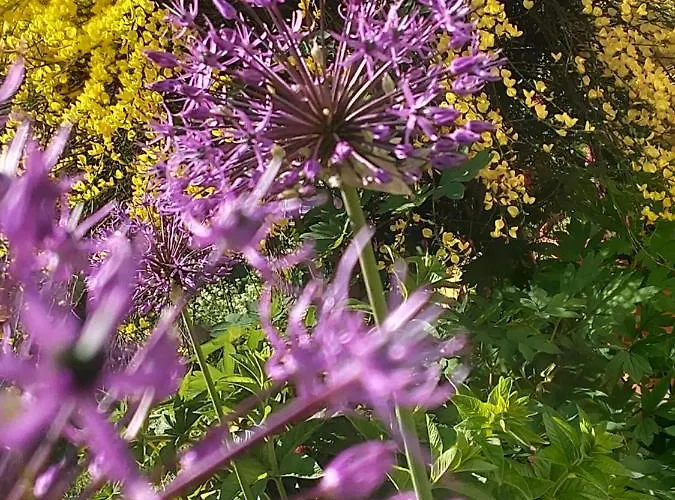 Haus Ladner Appartamento