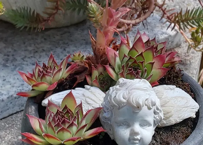 Haus Ladner Appartamento See