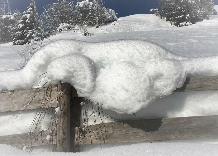 Appartamento Haus Ladner