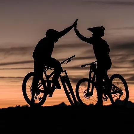 Haus Ladner Apartment