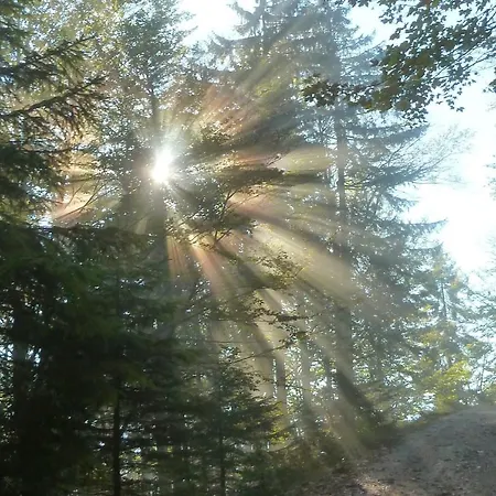 Haus Ladner Apartment See