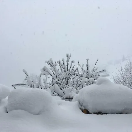 Haus Ladner Apartment *