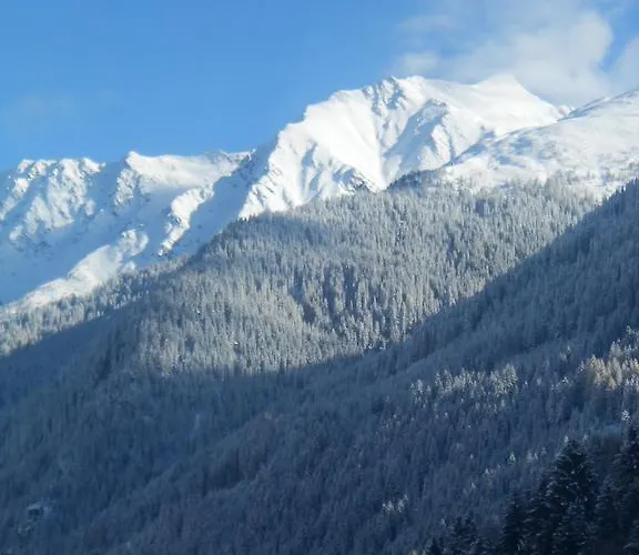 Haus Ladner Lejlighed