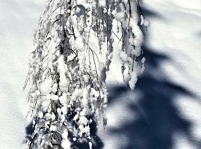 Lejlighed Haus Ladner *